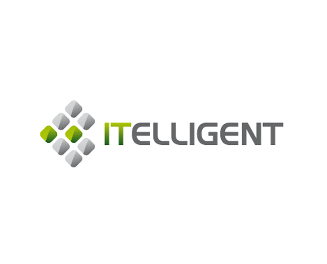 ITELLIGENT INFORMATION TECHNOLOGIES